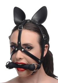 Do Ball Gags Work​? Ultimate Ball Gags Guide