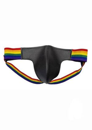 Underwear with Multicolored Pride Stripe Large