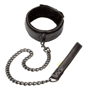 Boundless Collar and Leash Black