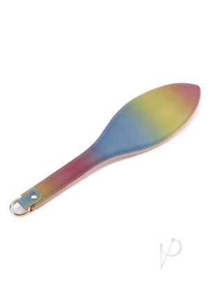 Leather Sex Restraint Spanking Paddle Rainbow