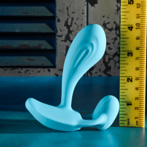 Wear Me Out Rechargeable Vibrating Prostate Massager Multi-Speed Remote Control Sex Vibrator