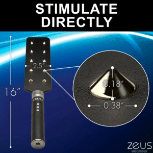 Zeus Manually Controlled Estim Spiked Sex Paddle Bondage Electrosex Gear