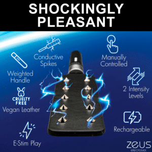 Zeus Manually Controlled Estim Spiked Sex Paddle Bondage Electrosex Gear