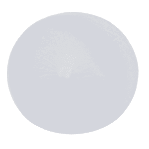 Ass Stroker In A Bag Open-back ULTRASKYN Realistic Anal Masturbator