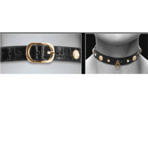 Fetish & Fashion Bondage Gear Alina Crystal Gems Adjustable Sex Collar Restraints