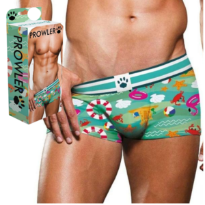 Men's Trunks Beach Surfboard Shorts Swimwear Aqua - XL