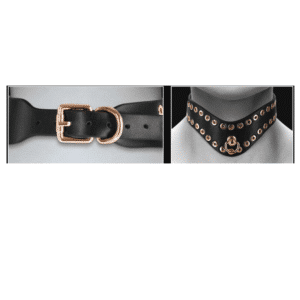 Fetish Fashion Bondage Gear Kali Golden Studs Adjustable Fit Sex Collar Restraints