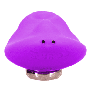 In A Bag Magnetic Panty Clitoral Vibrator Multi-Speed Rechargeable Sex Toy