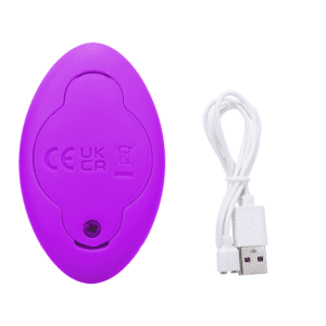 In A Bag Magnetic Panty Clitoral Vibrator Multi-Speed Rechargeable Sex Toy