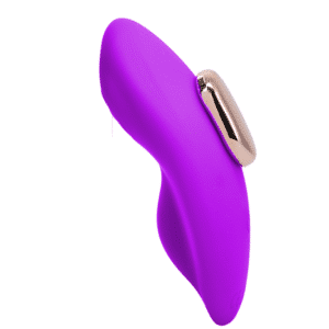 In A Bag Magnetic Panty Clitoral Vibrator Multi-Speed Rechargeable Sex Toy