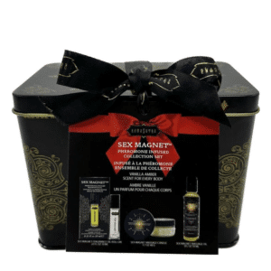 Kama Sutra Intimacy and Attraction Sex Magnet Collection Set