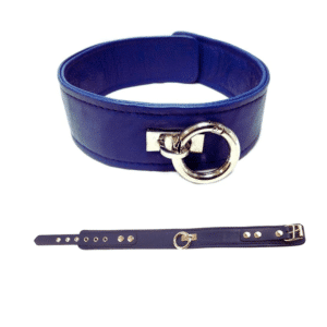 Rouge Plain Leather Sex Collar Removable O-ring Adjustable Bondage Gear - Blue