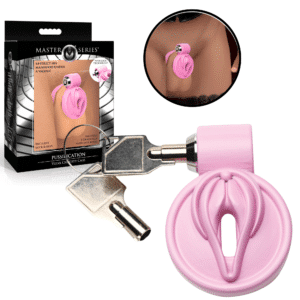 Vulva Cage and Key Male Chastity Devices