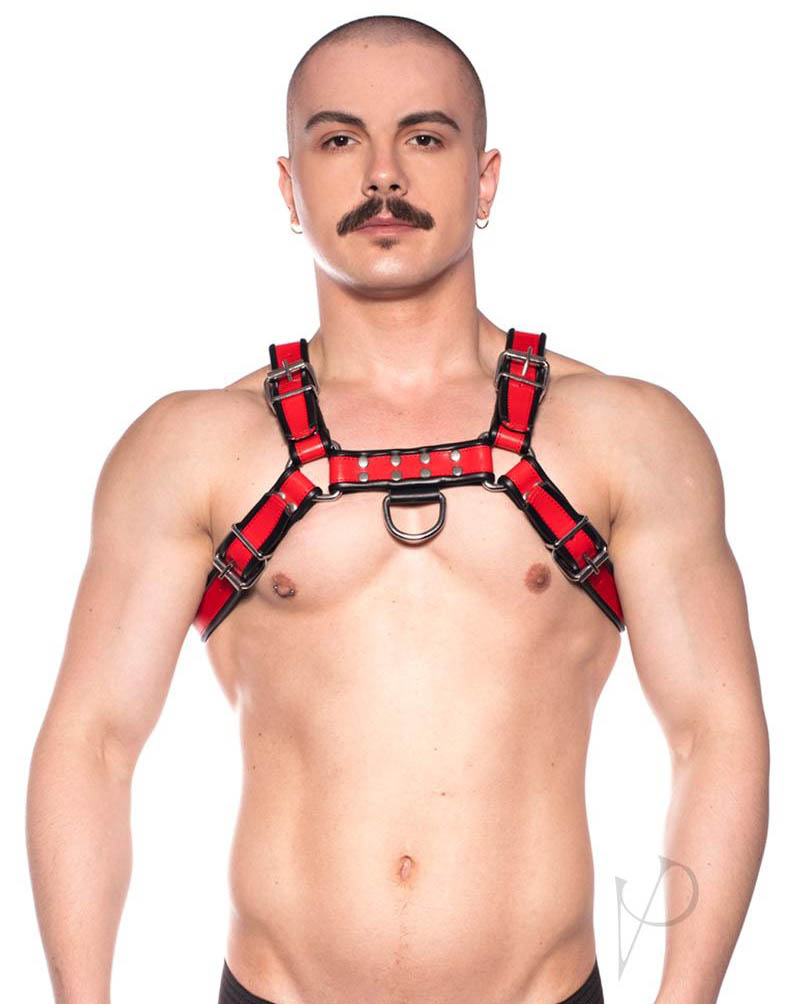 Prowler Red Bull Male Harness 