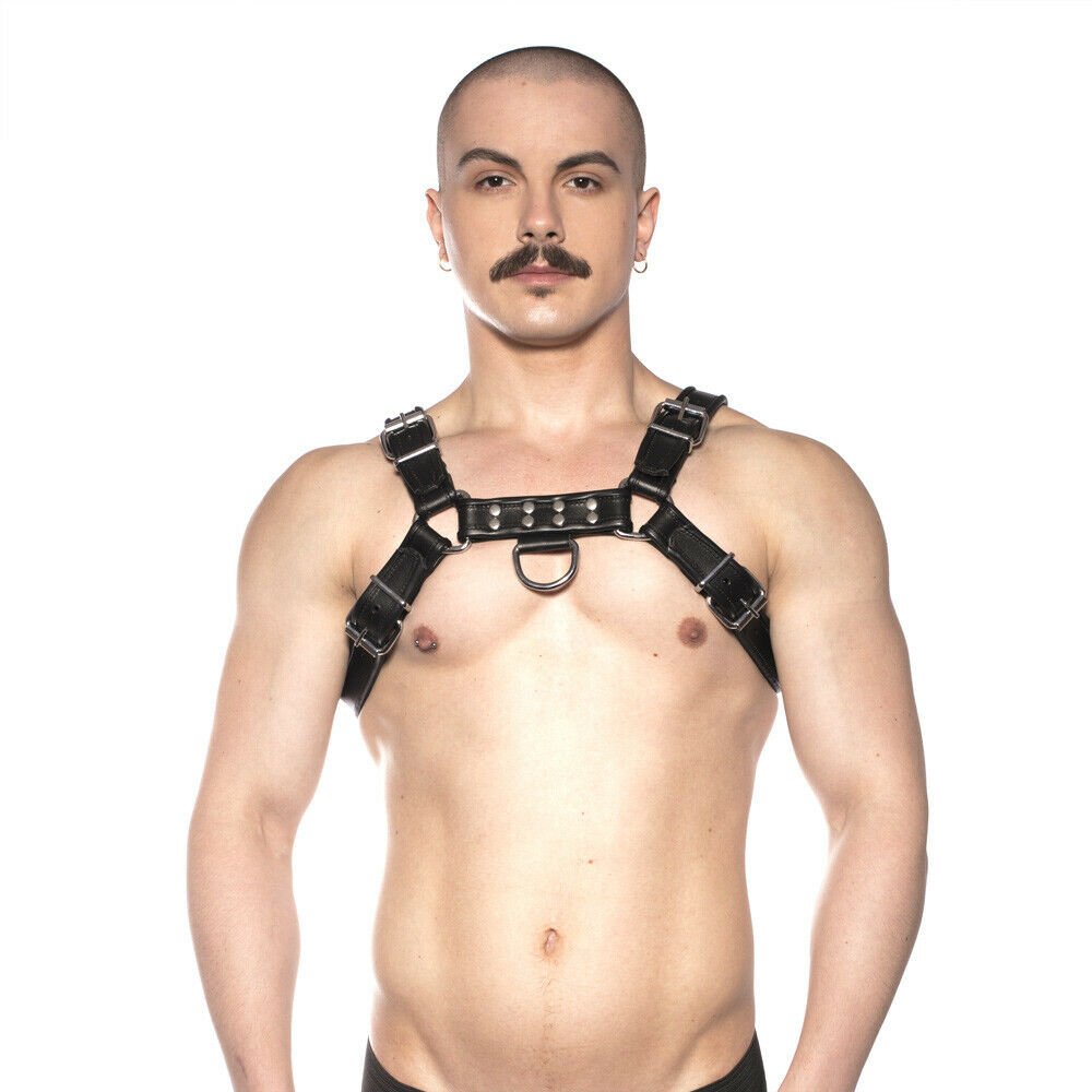 Prowler Red Bull Harness 