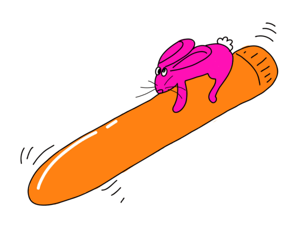 Rabbit Vibrator Sex Toy