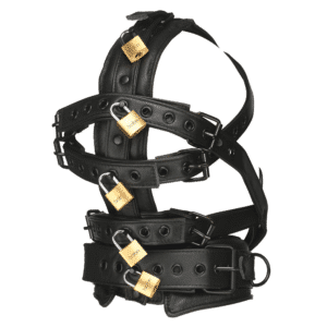 Padded Head Harness with Muzzle