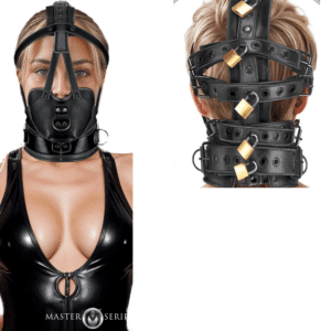 Comfortable Padded Head Harness with Muzzle