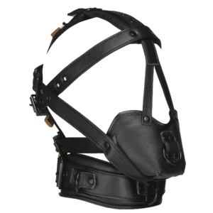 Padded Head Harness with Muzzle
