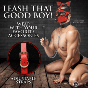 Sex Hood with Removable Muzzle Sex Restraints