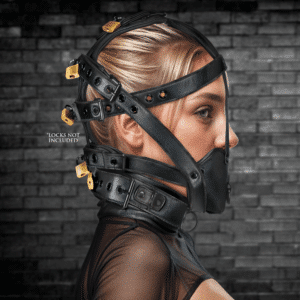 Head Harness with Muzzle