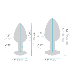 Butt Plug For Beginners Training Set