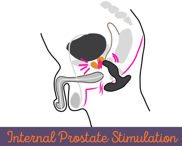 Prostate Massager Device