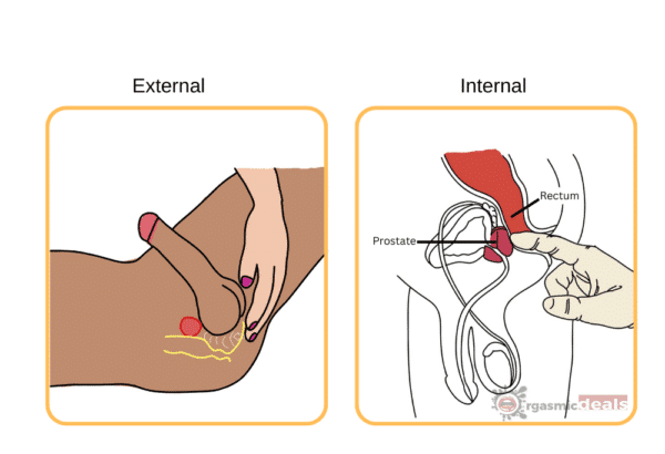 External and Internal presentation of prostate massage