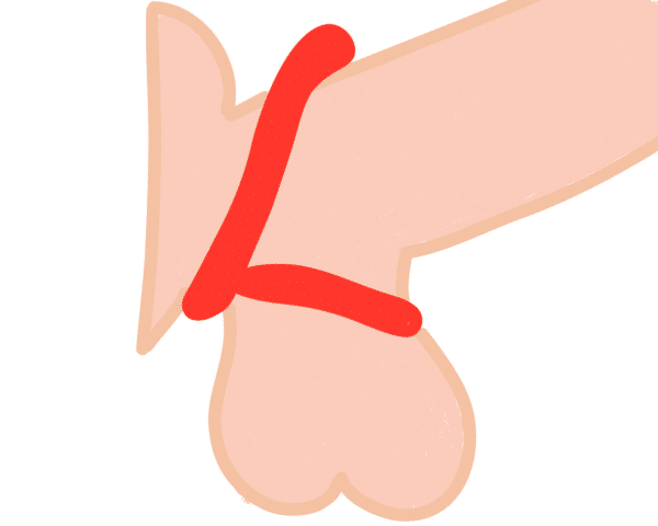 What is a Double Cock Ring?