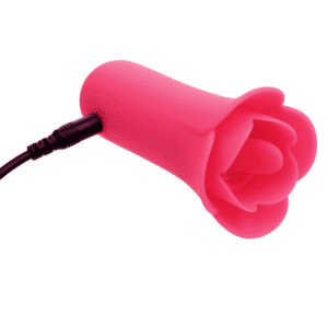 Oral Sex Vibrator