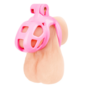 Cock Cage Chastity Device