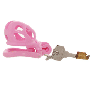 Cock Cage Chastity Device