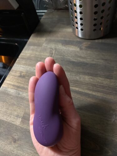 We-Vibe Touch X RechargeableSilicone Clitoral Mini Vibrator photo review